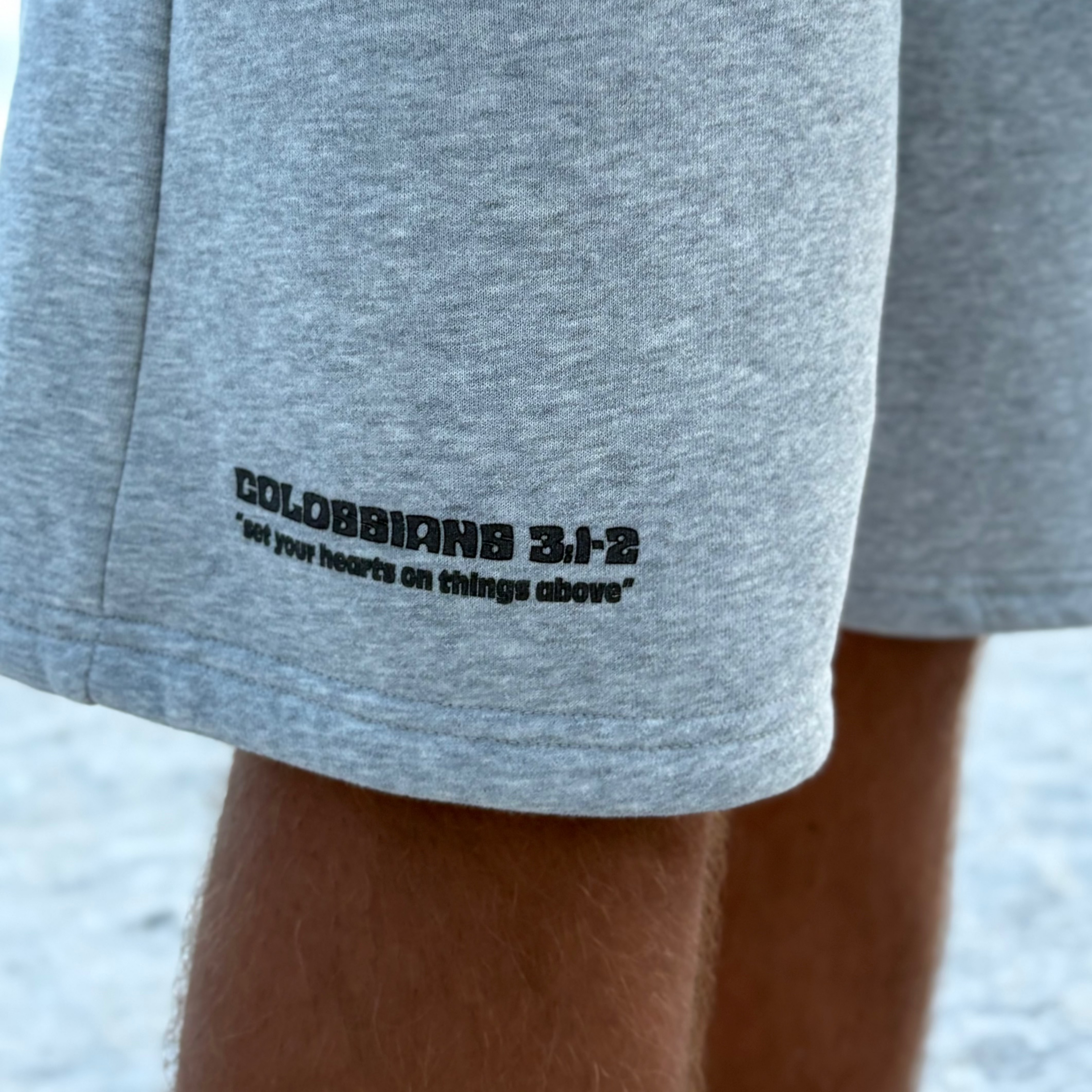 Colossians 3:1-2 baggy Shorts