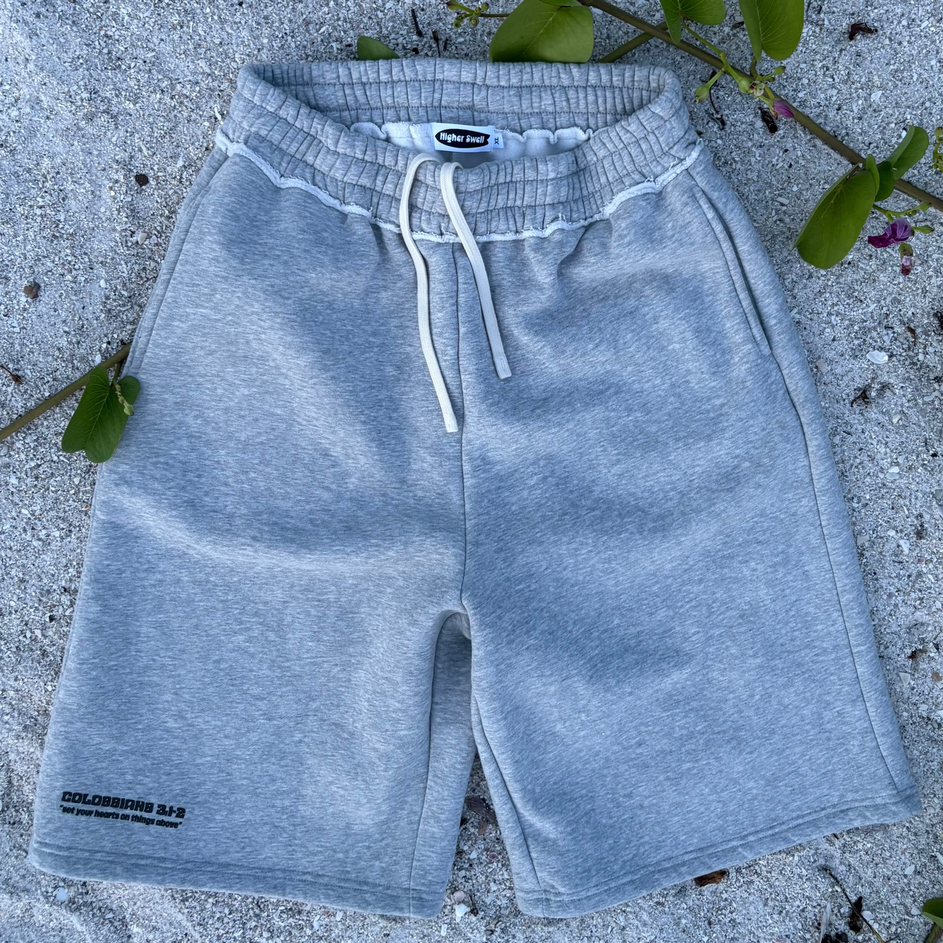 Colossians 3:1-2 baggy Shorts