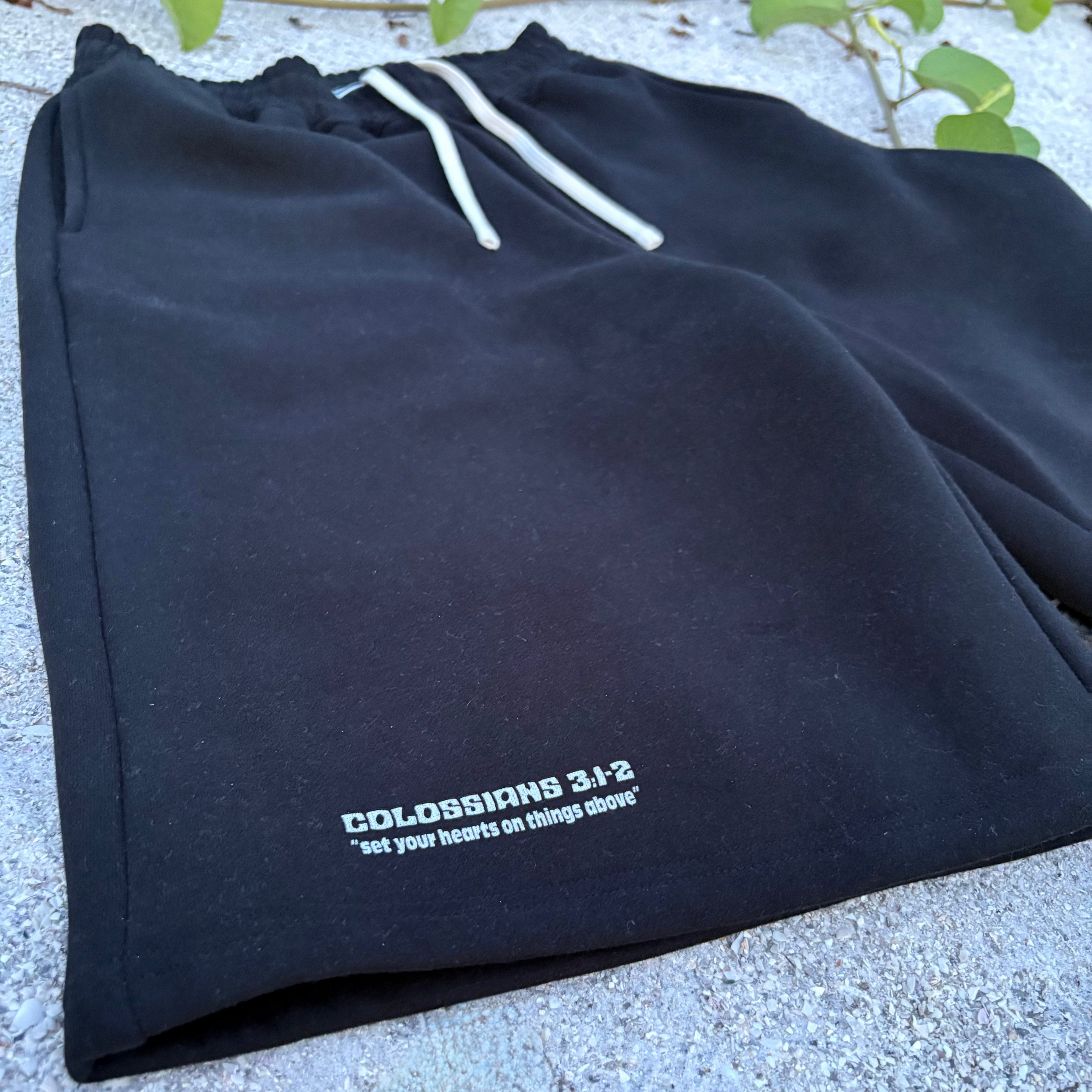 Colossians 3:1-2 baggy Shorts