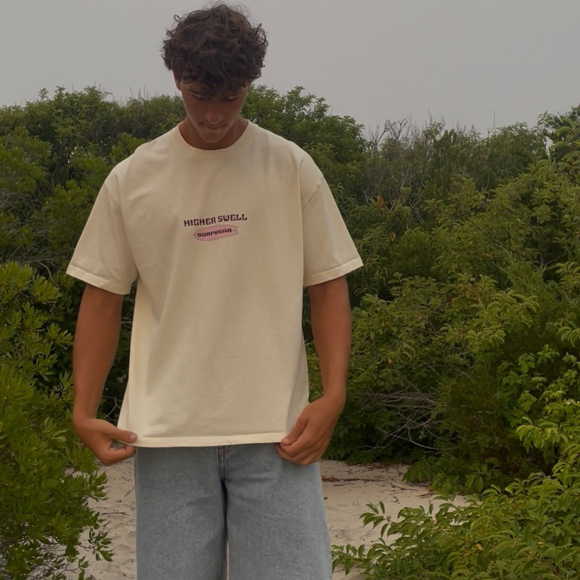 Fruits of Spirit tee