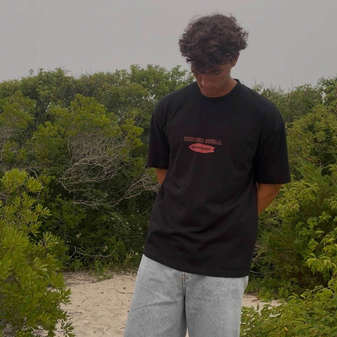 Fruits of Spirit tee